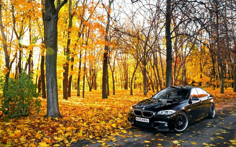 Black BMW Sedan — Yellow