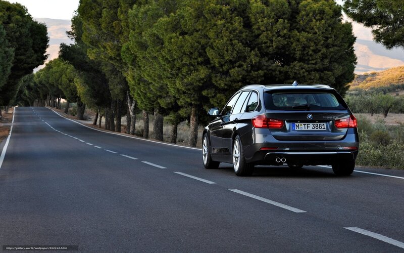 Black BMW Station Wagon — Gray, Serene