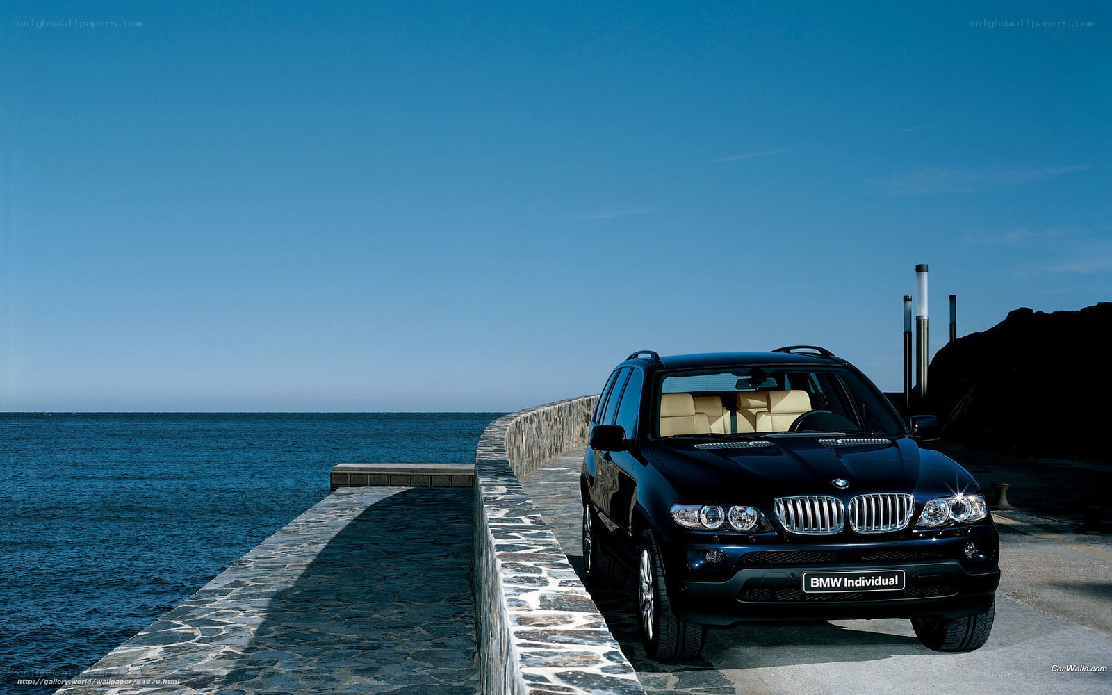 Black BMW SUV by the sea