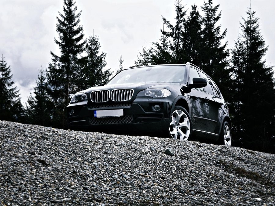 Black BMW SUV in forest