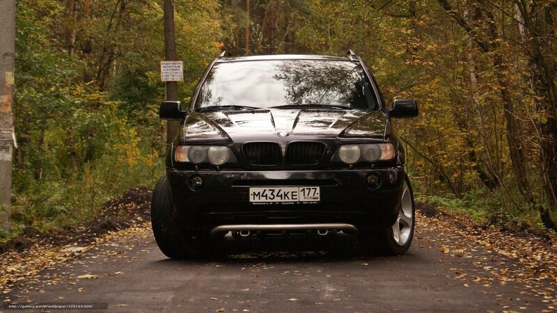 Black BMW X5 in autumn forest