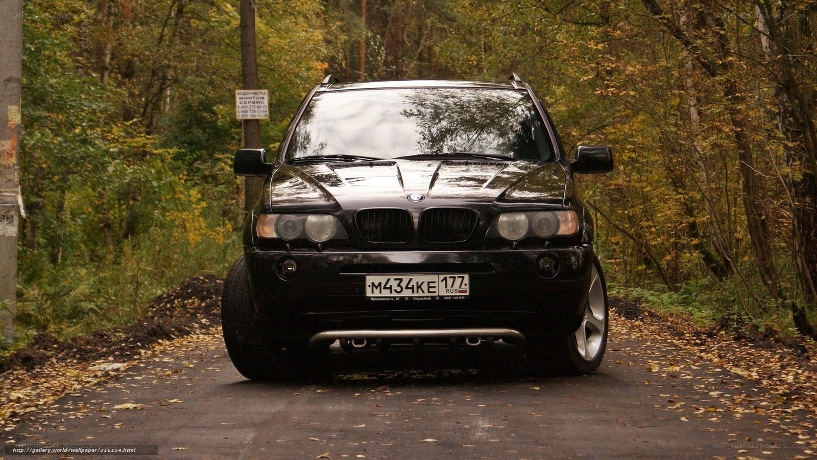 Black BMW X5 in autumn forest