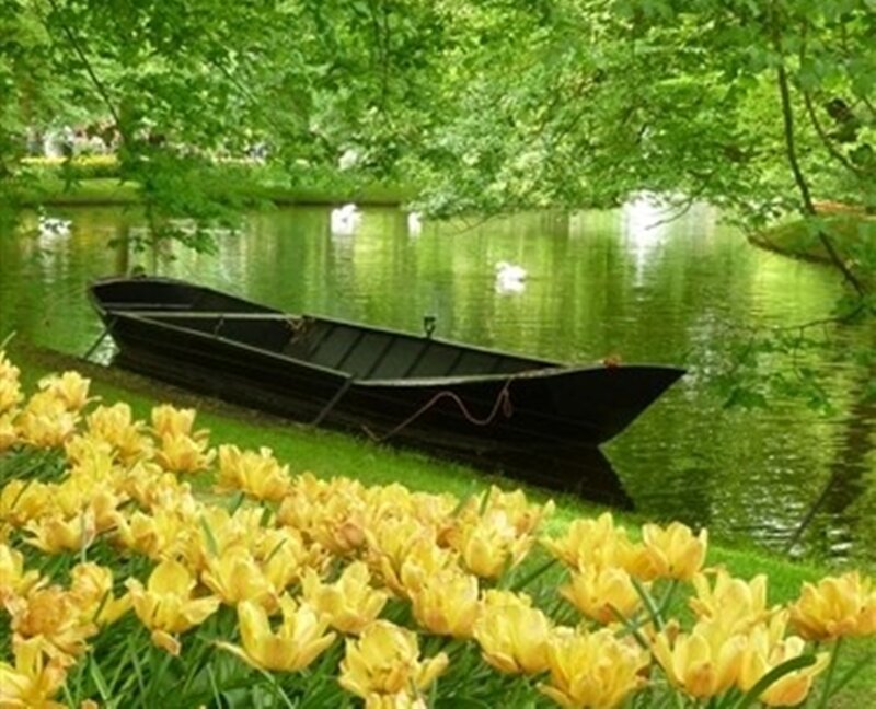 Black Boat on Riverbank