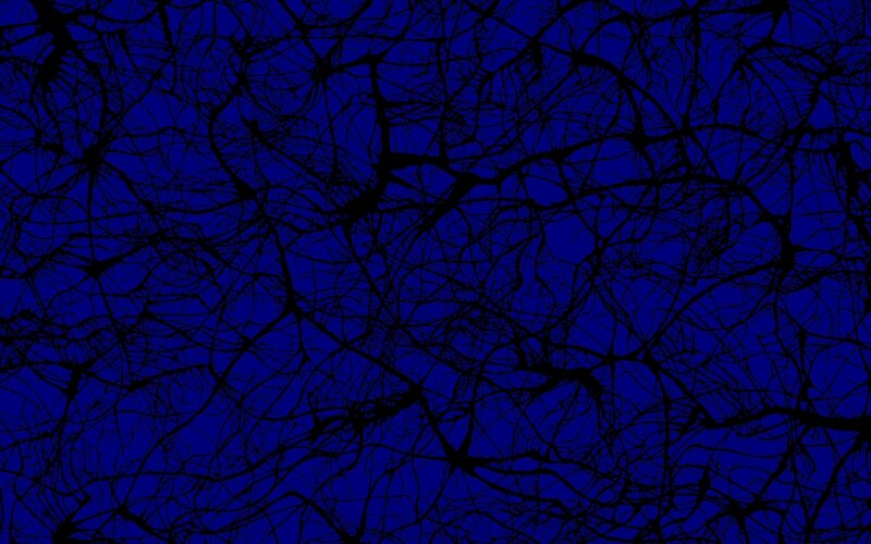black branches on blue background
