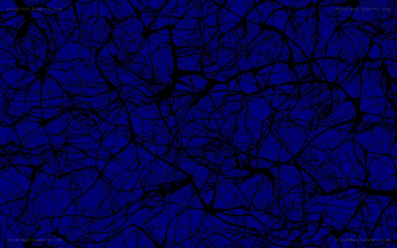 black branches on blue background