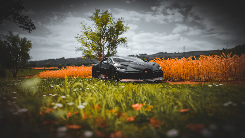 Black Bugatti in Field