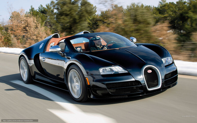 Black Bugatti Veyron — Dynamic, Winter, Photograph, Driver