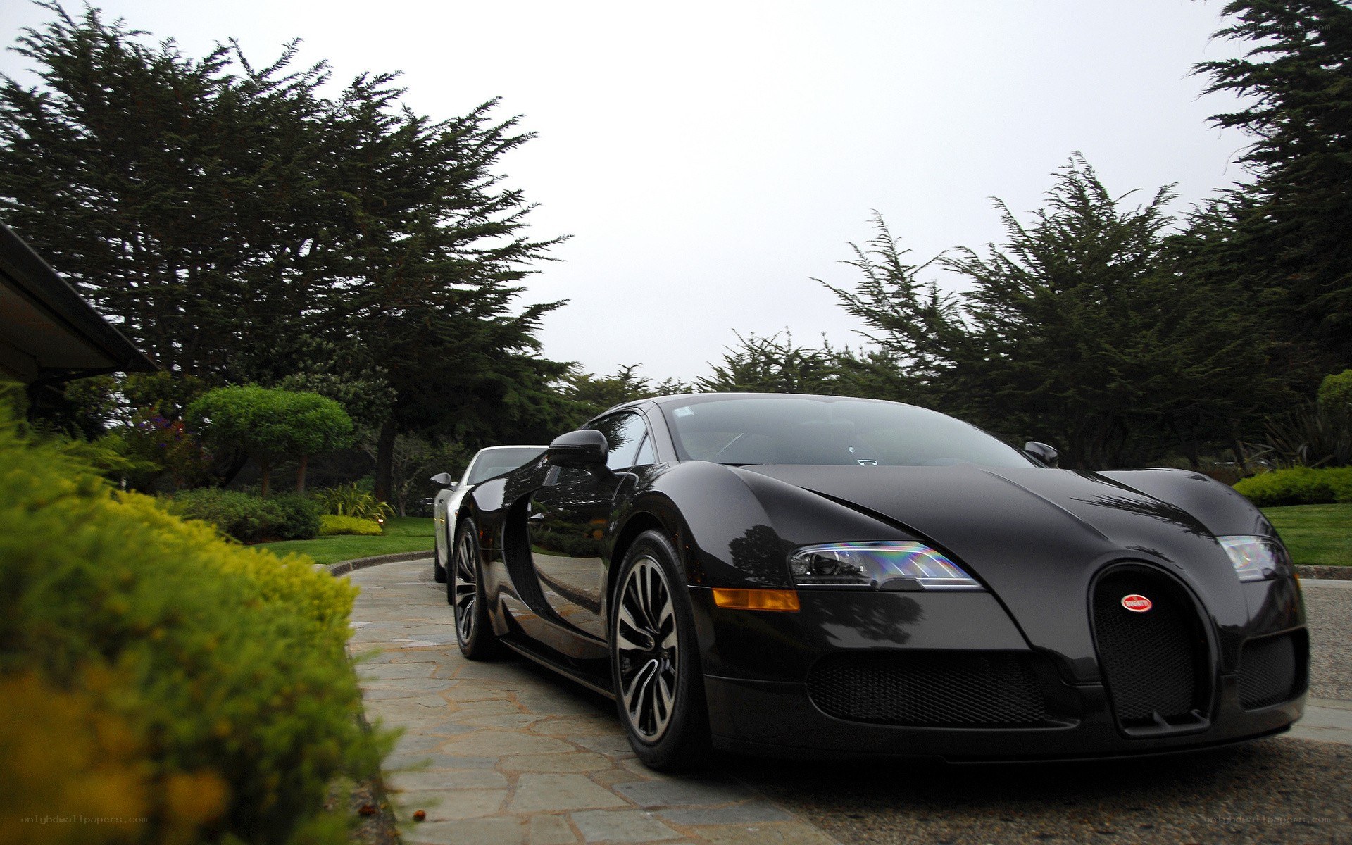 Black Bugatti Veyron parked outside