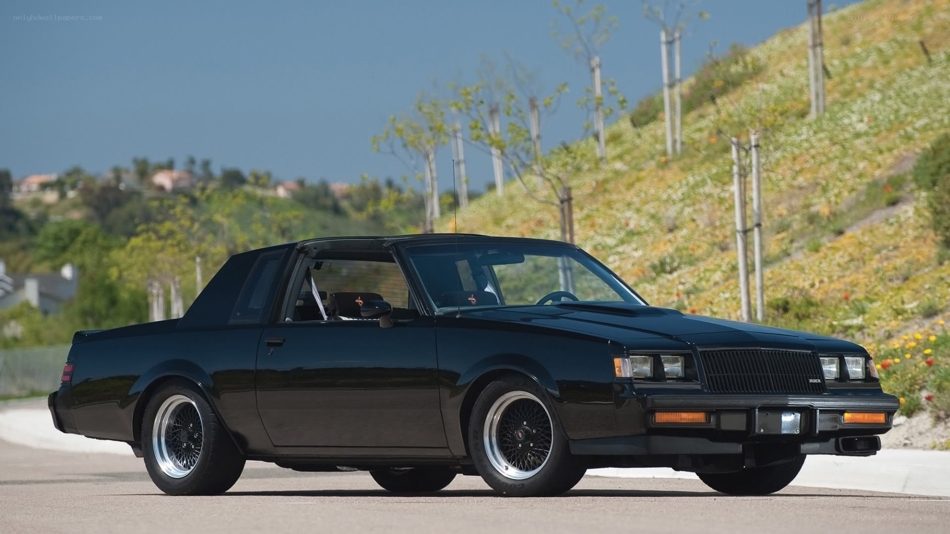 black buick regal gs