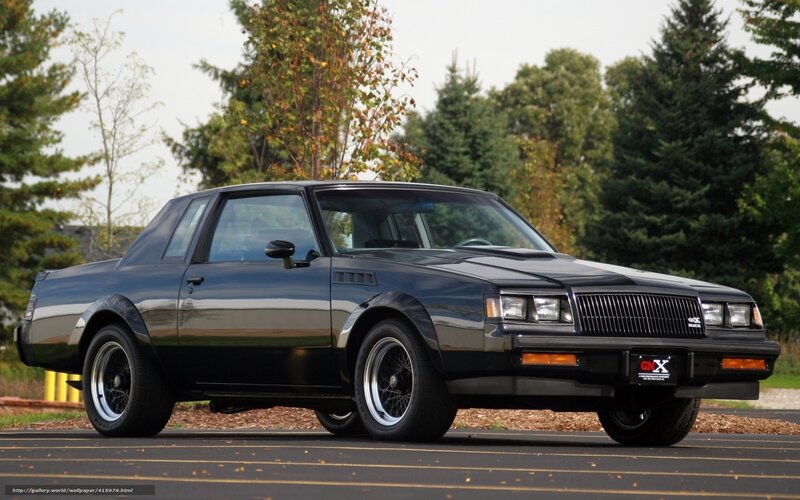 Black Buick Regal Gsx — Calm, Autumn