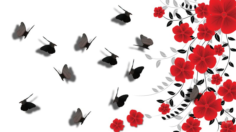 Black Butterflies and Red Flowers