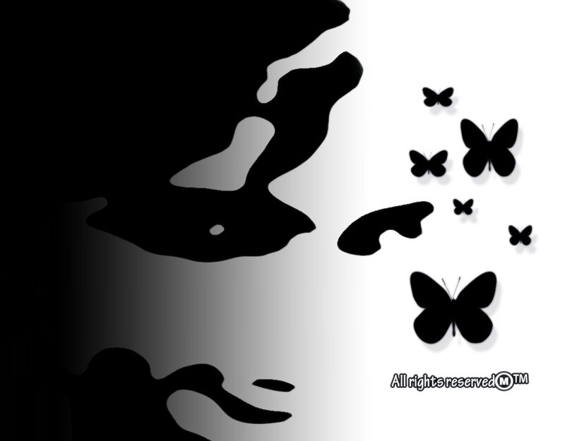 Black Butterflies on White
