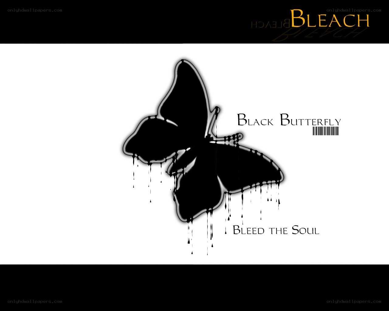 Black Butterfly Bleed the Soul