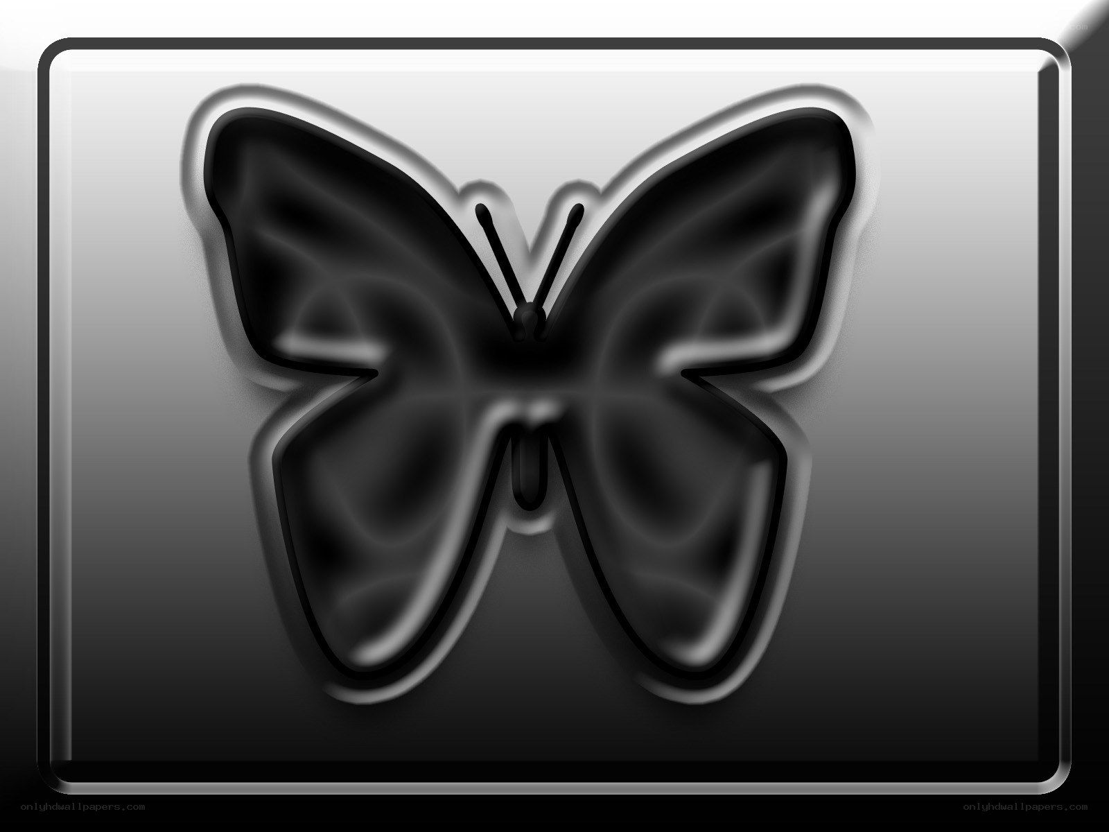 black butterfly icon