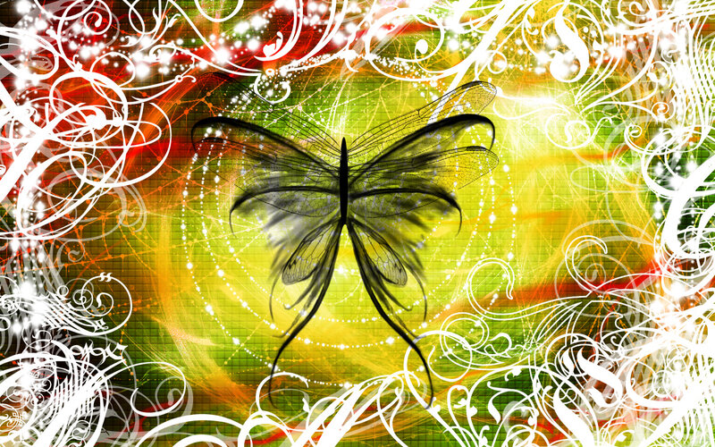 Black Butterfly on Colorful Background