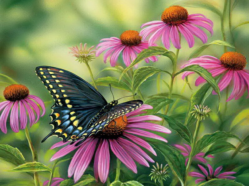 Black Butterfly on Flower — Pink, Serene, Summer, Painting