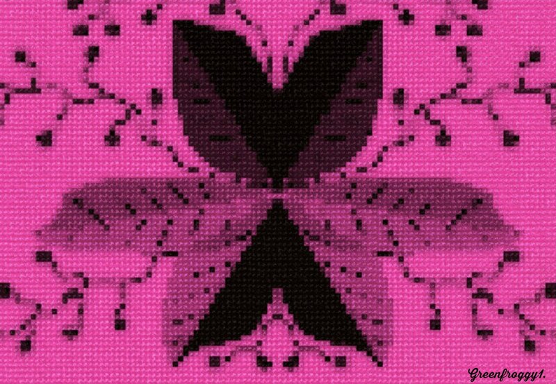 Black Butterfly on Pink