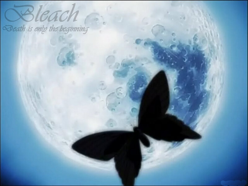 Black Butterfly Silhouette — Blue