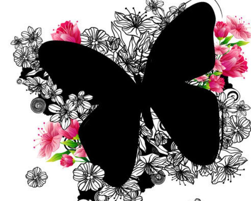 Black Butterfly Silhouette — Decorative