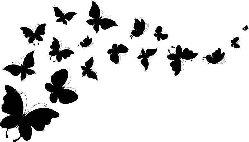 Black Butterfly Silhouettes — Calm