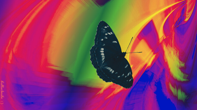 Black Butterfly