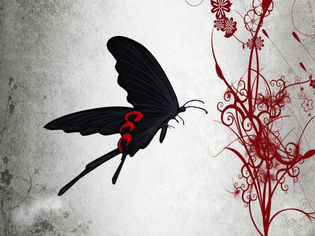 black butterfly with red accents