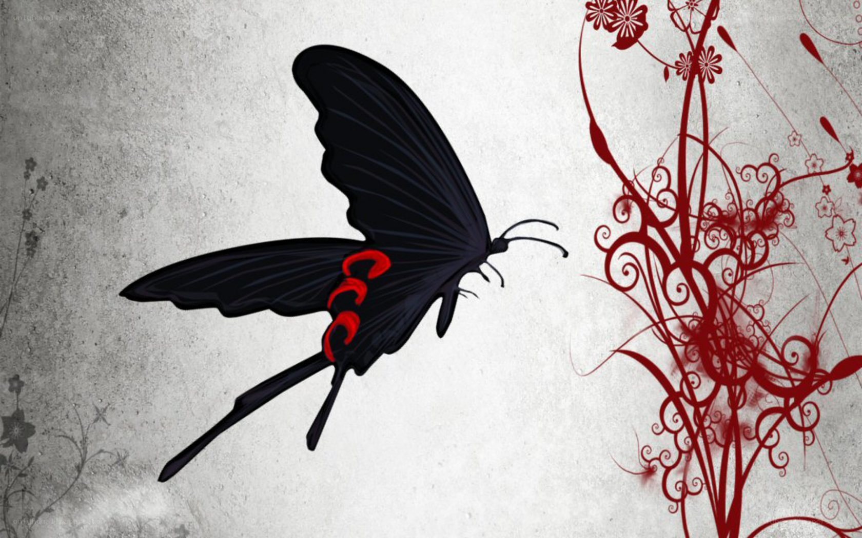 black butterfly with red accents