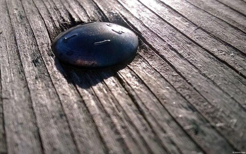 Black Button on Wood