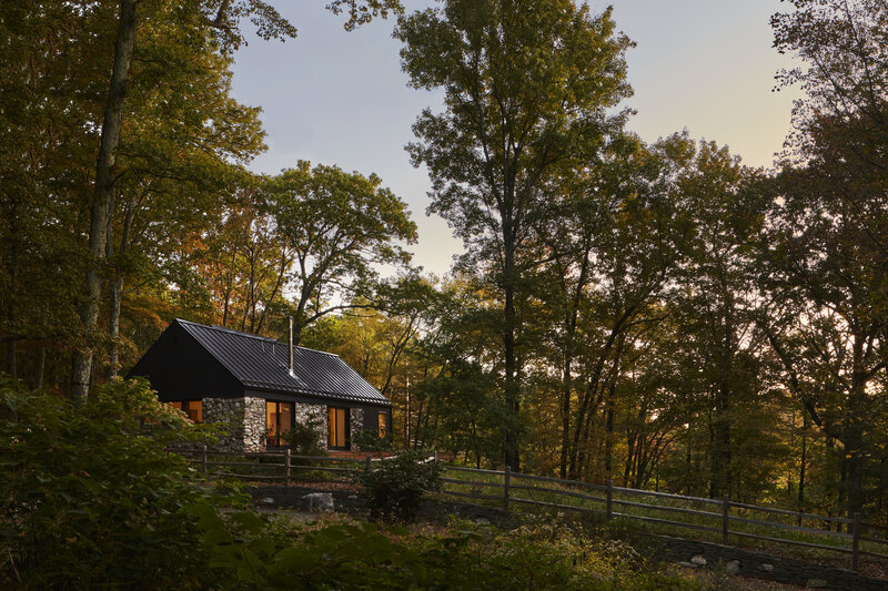 Black Cabin in Forest — Green
