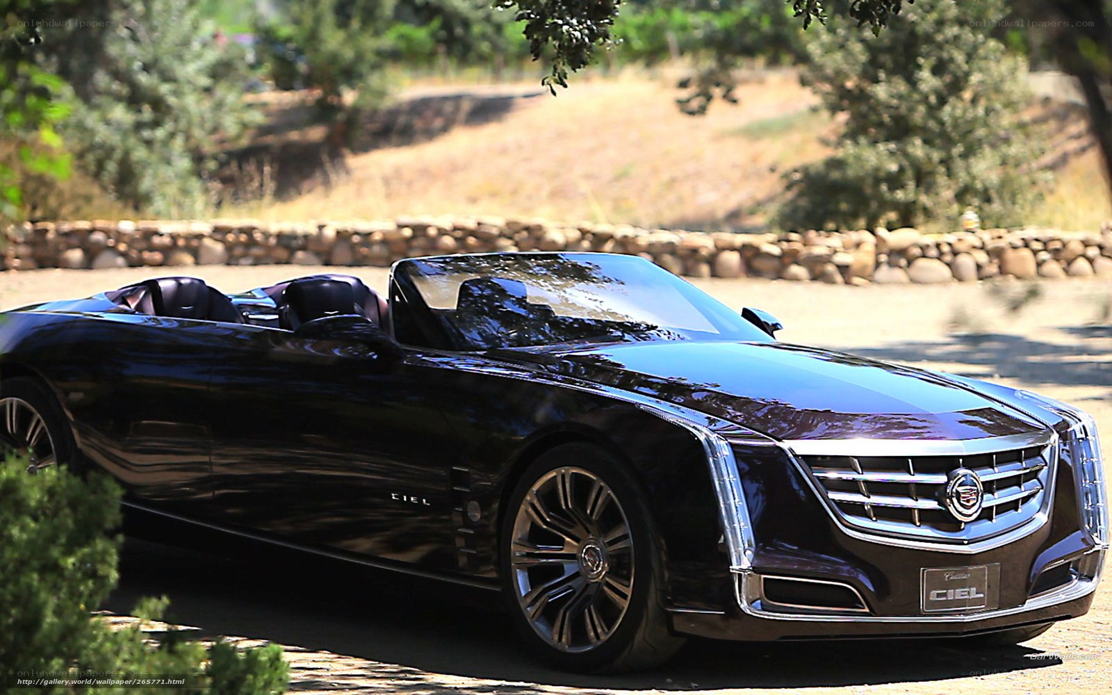 Black Cadillac Ciel convertible