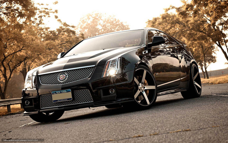 Black Cadillac Coupe — Dramatic, Sunset, Photograph, Trees