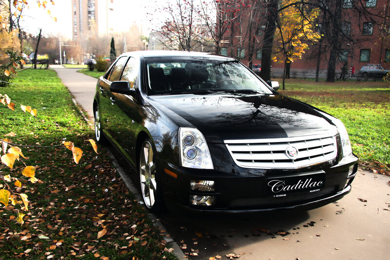 Black Cadillac parked in autumn