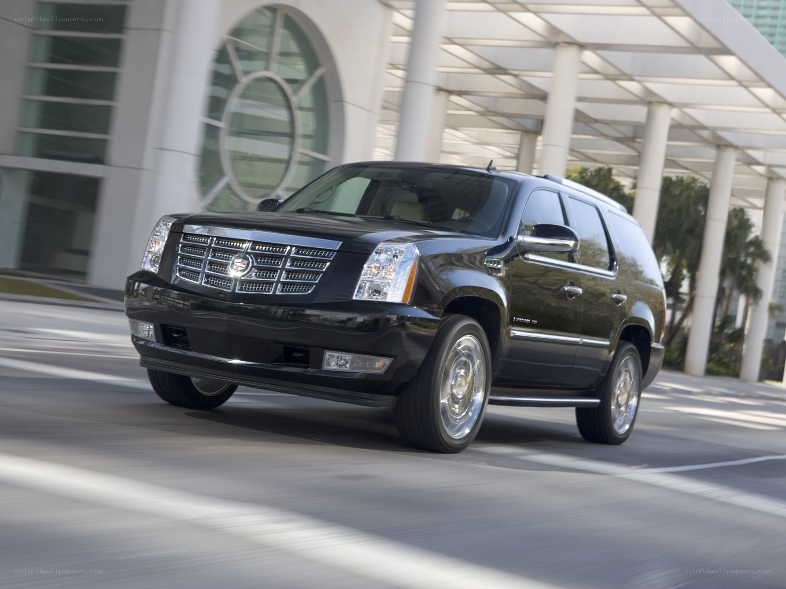 Black Cadillac SUV in motion
