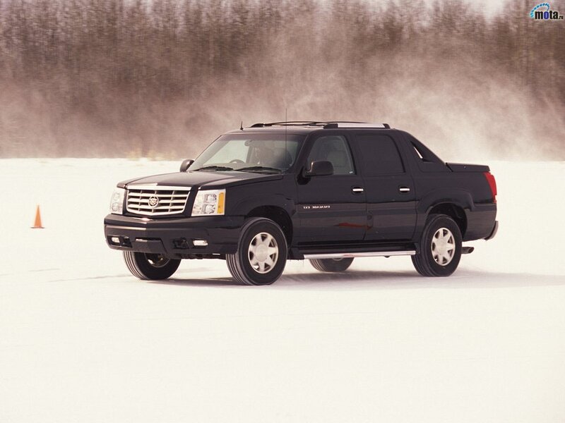 black cadillac truck on snow