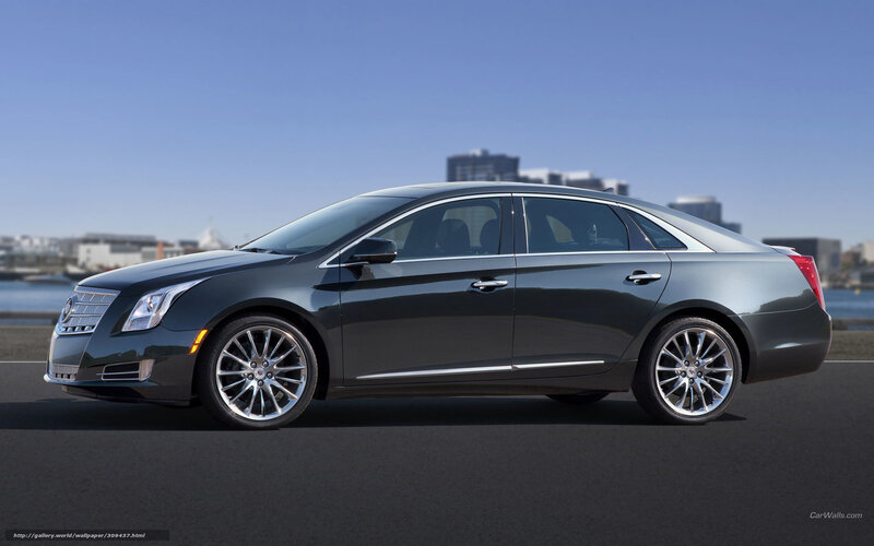 Black Cadillac Xts Sedan — Gray, Serene