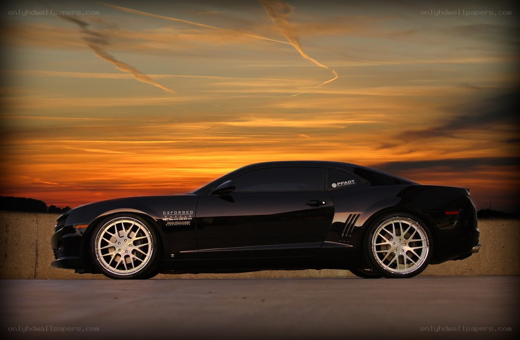 Black Camaro at sunset