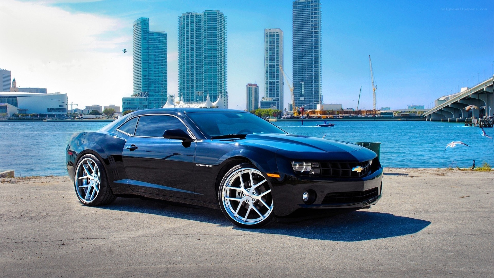 Black Camaro by the waterfront