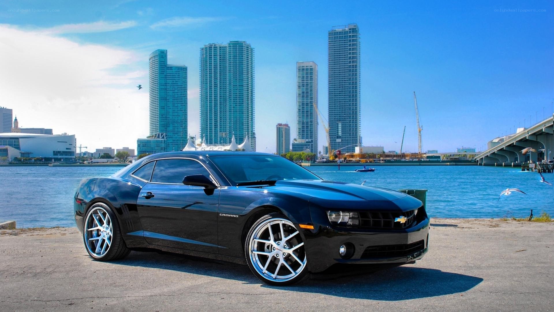 Black Camaro by the waterfront