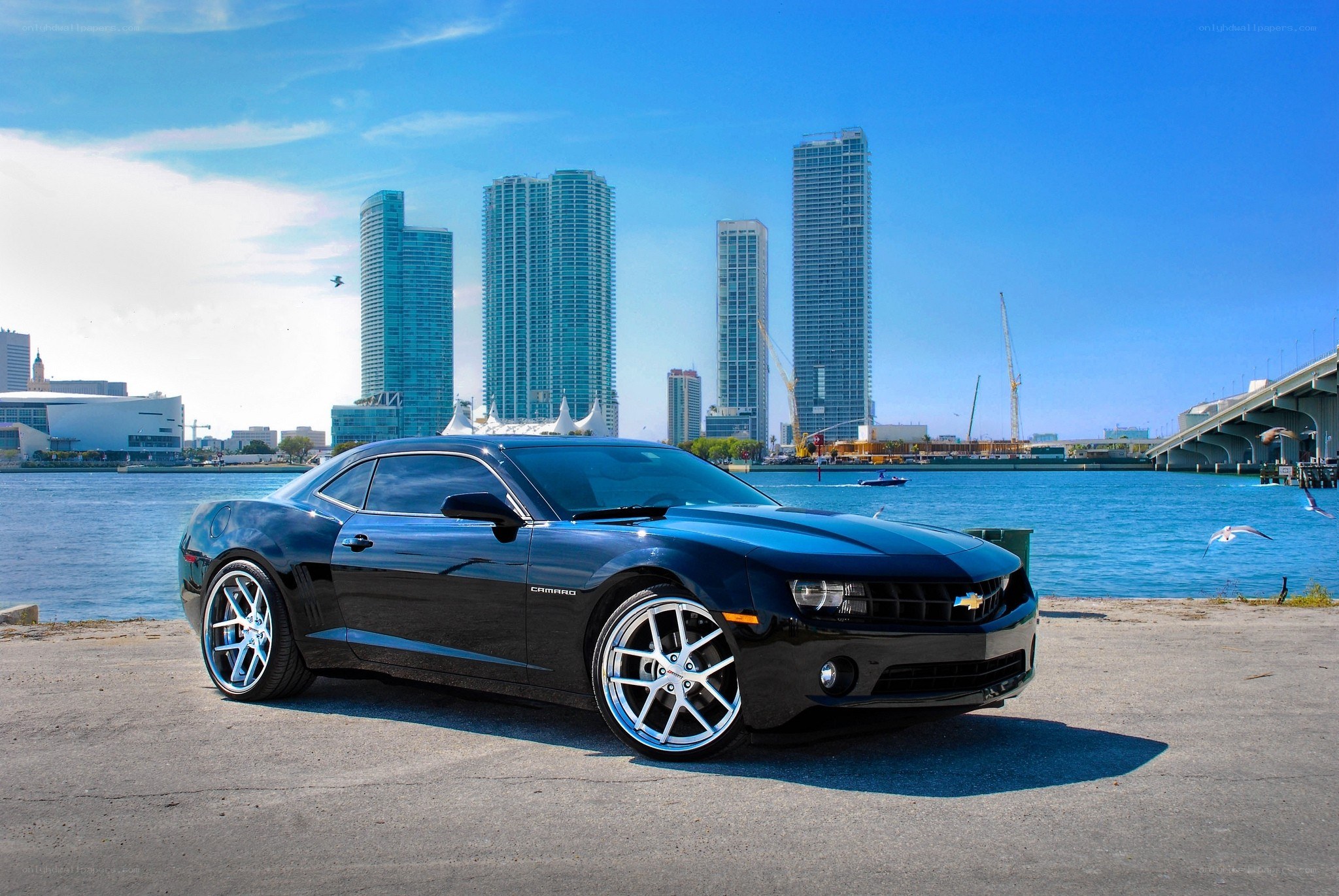 Black Camaro by the waterfront