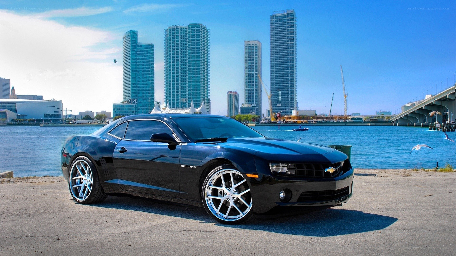Black Camaro by the waterfront