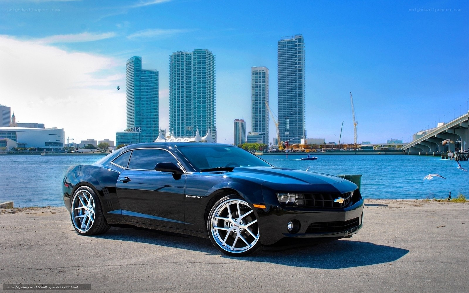 Black Camaro by the waterfront