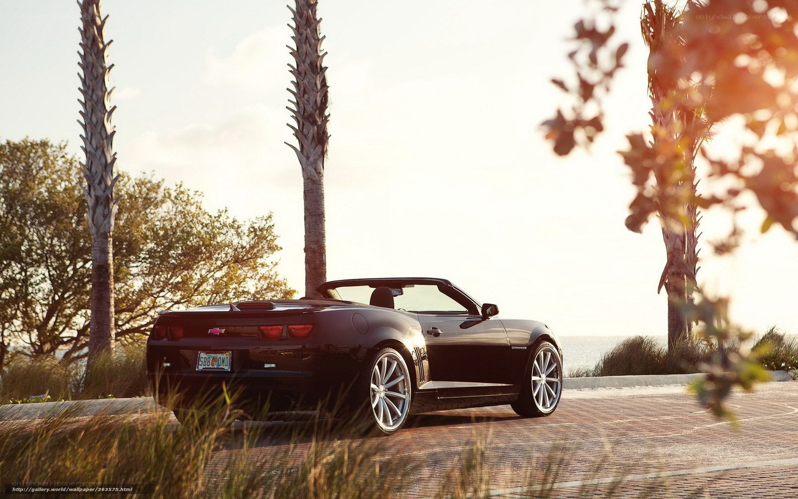 Black Camaro convertible by the sea
