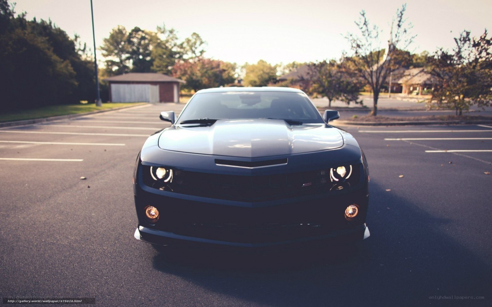 black camaro in parking lot
