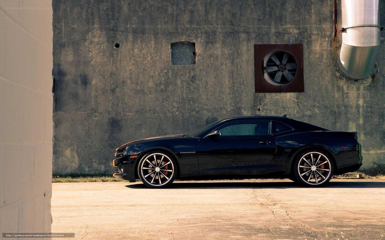 Black Camaro in urban setting