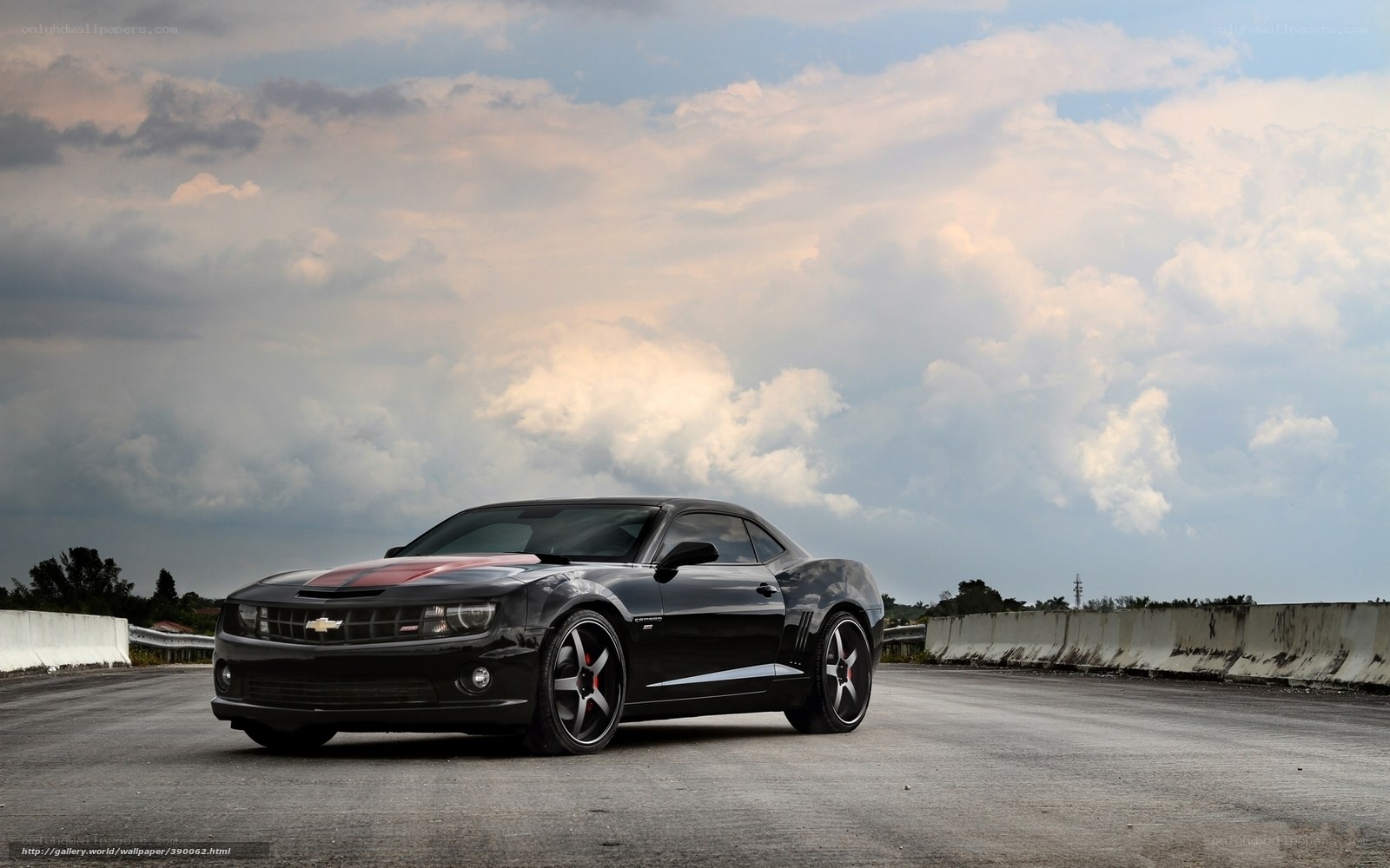 Black Camaro on a bridge