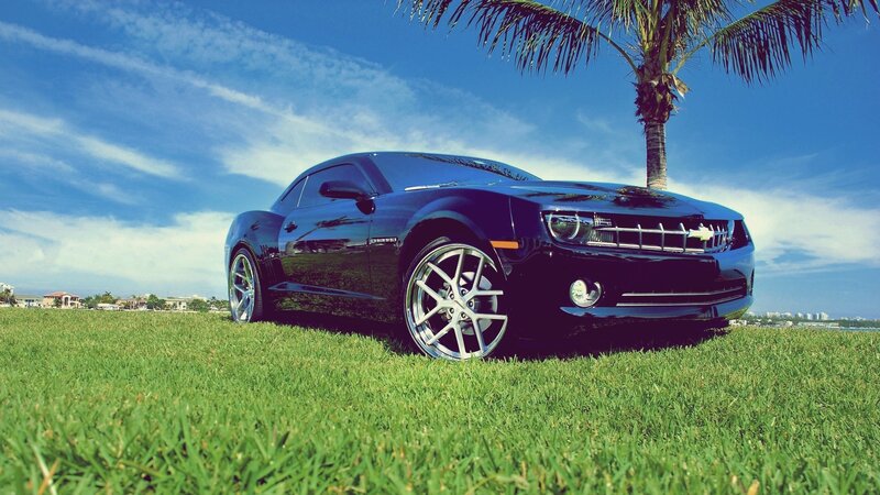 Black Camaro on a grassy field
