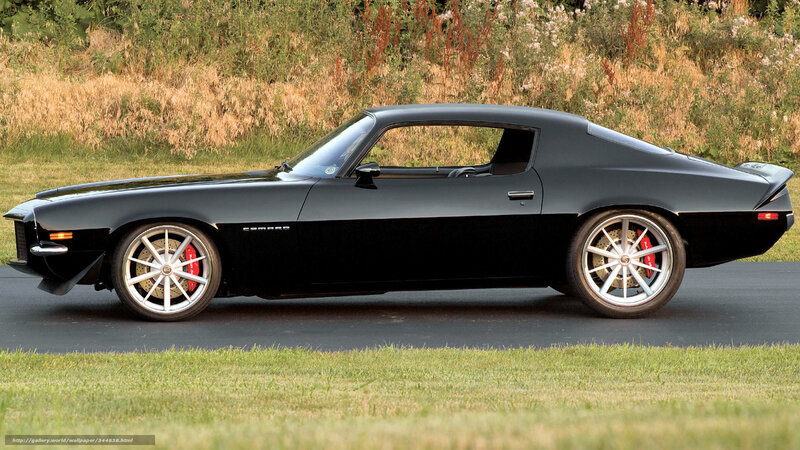 Black Camaro on a road
