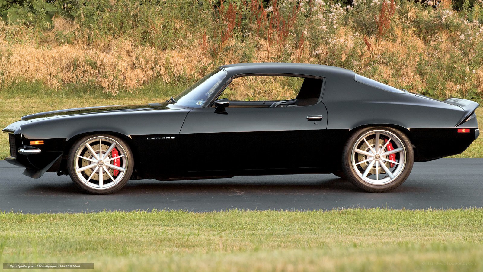 Black Camaro on a road