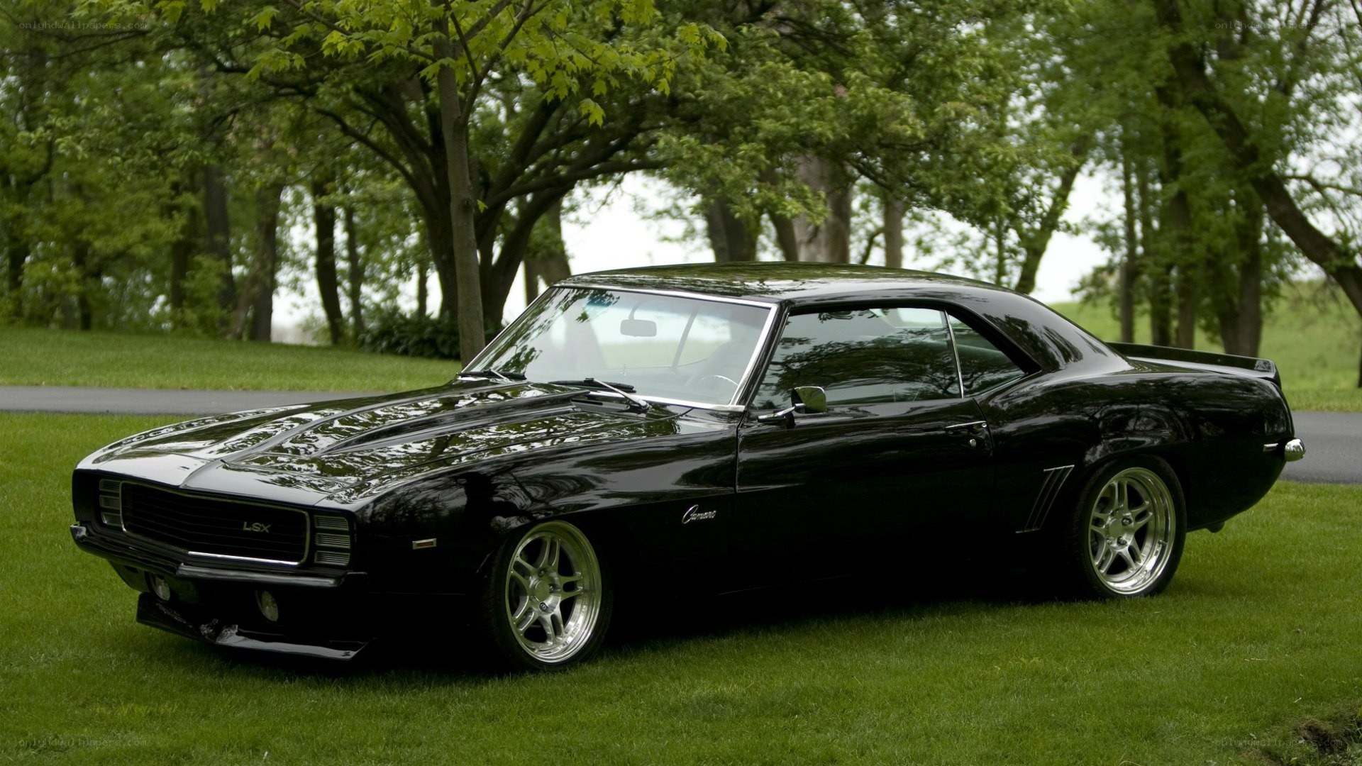 black camaro on grass