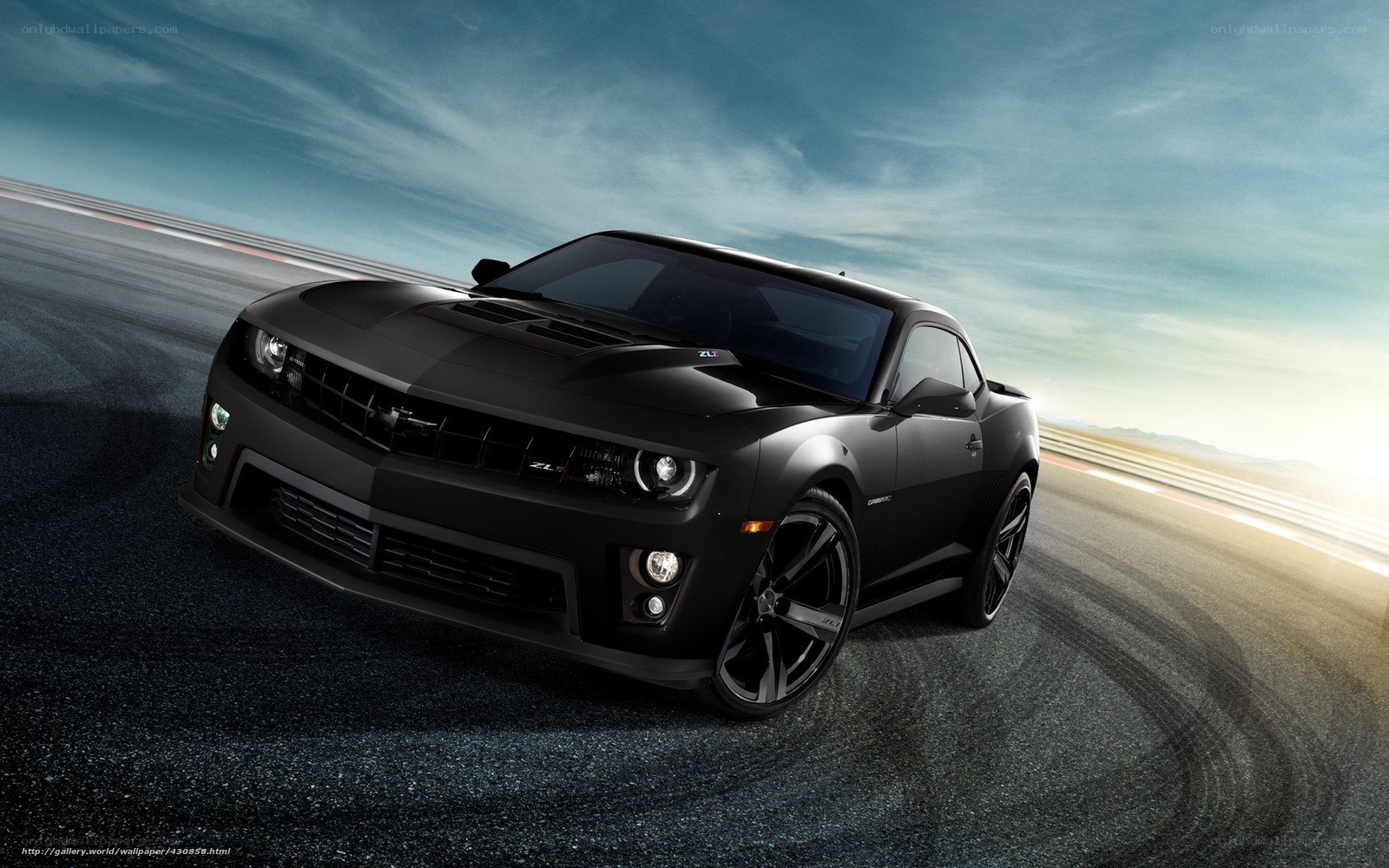 Black Camaro on racetrack